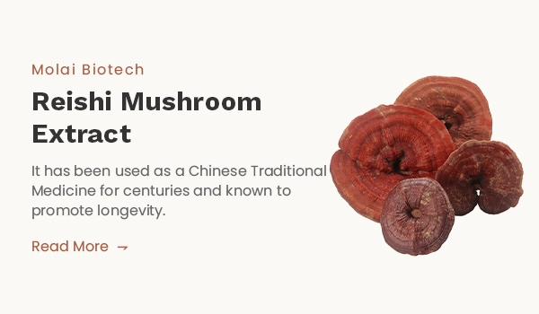 Ganoderma Lucidum Reishi  Mushroom Extract