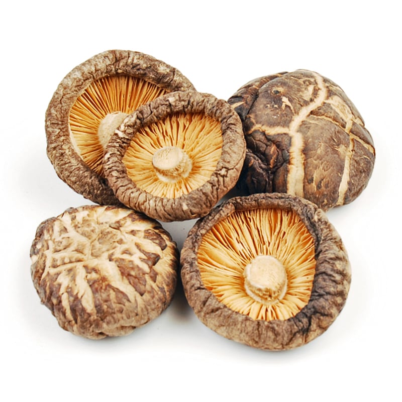 Shiitake Lentinus Edodes Mushroom Extract.jpg