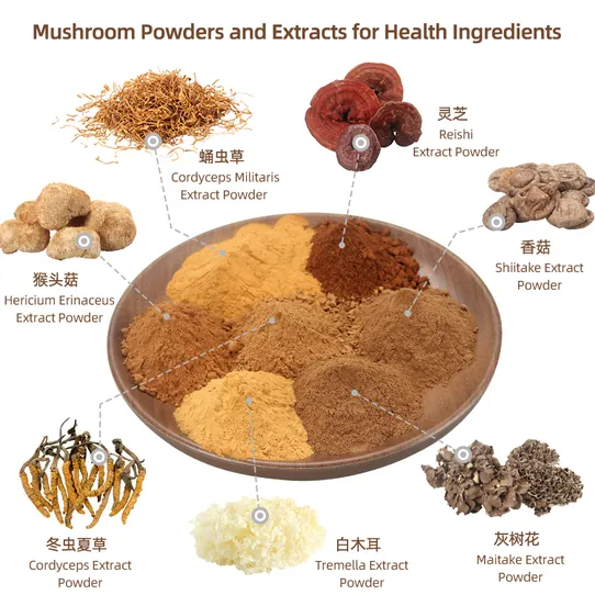 Agaricus Blazei Shiitake Tremella Supplement – Organic Immune Blend