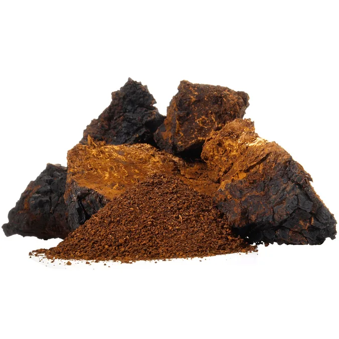 Chaga Mushroom Extract Powder
