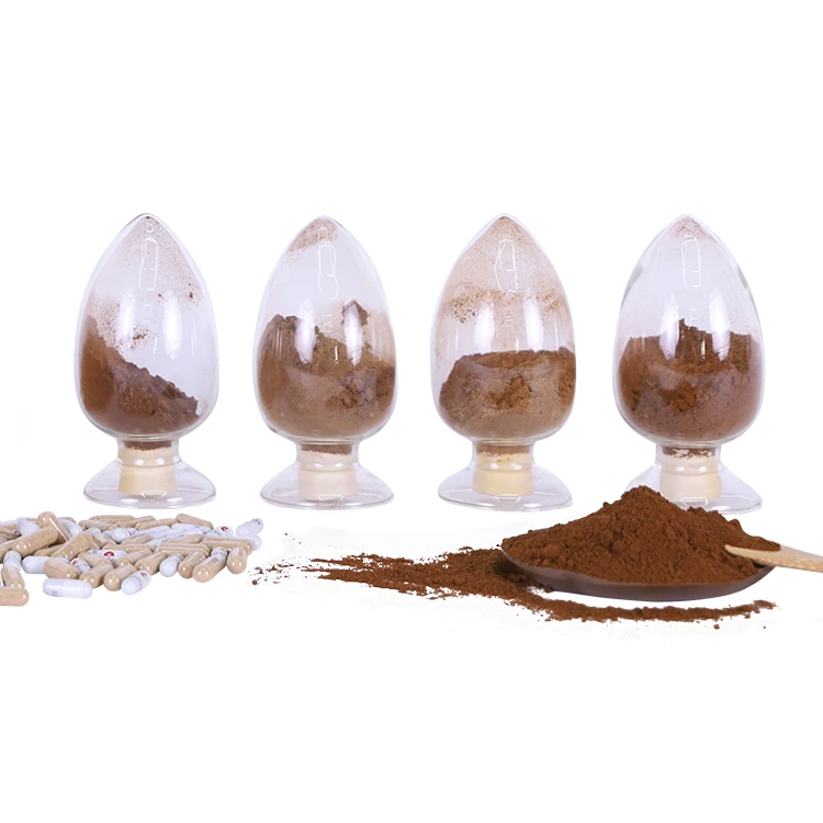 Chaga Tail Maitake Mushroom Extract Blends