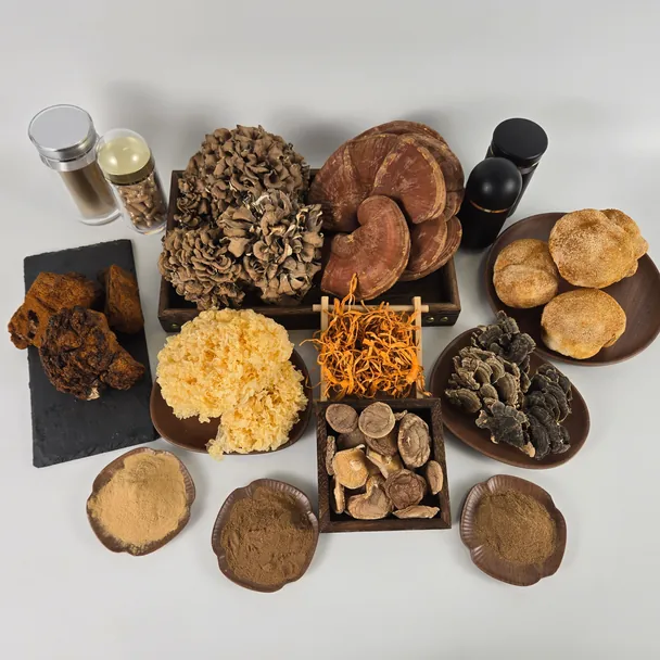Mushroom ingredient available for formulation projects