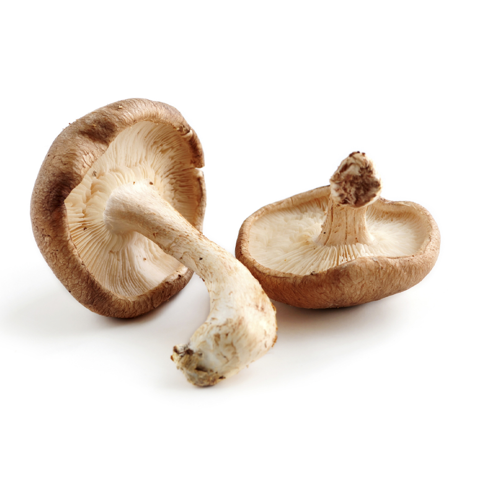 Golden Shiitake Mushroom Extract Powder for Immunity Boost