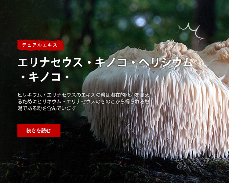 Organic Lion's Mane/Hericium Erinaceus Mushroom Powder